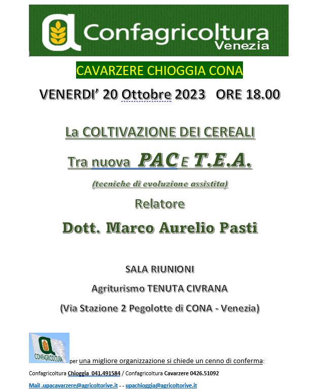 Trattore sfalcio tractor 6309106 1920
