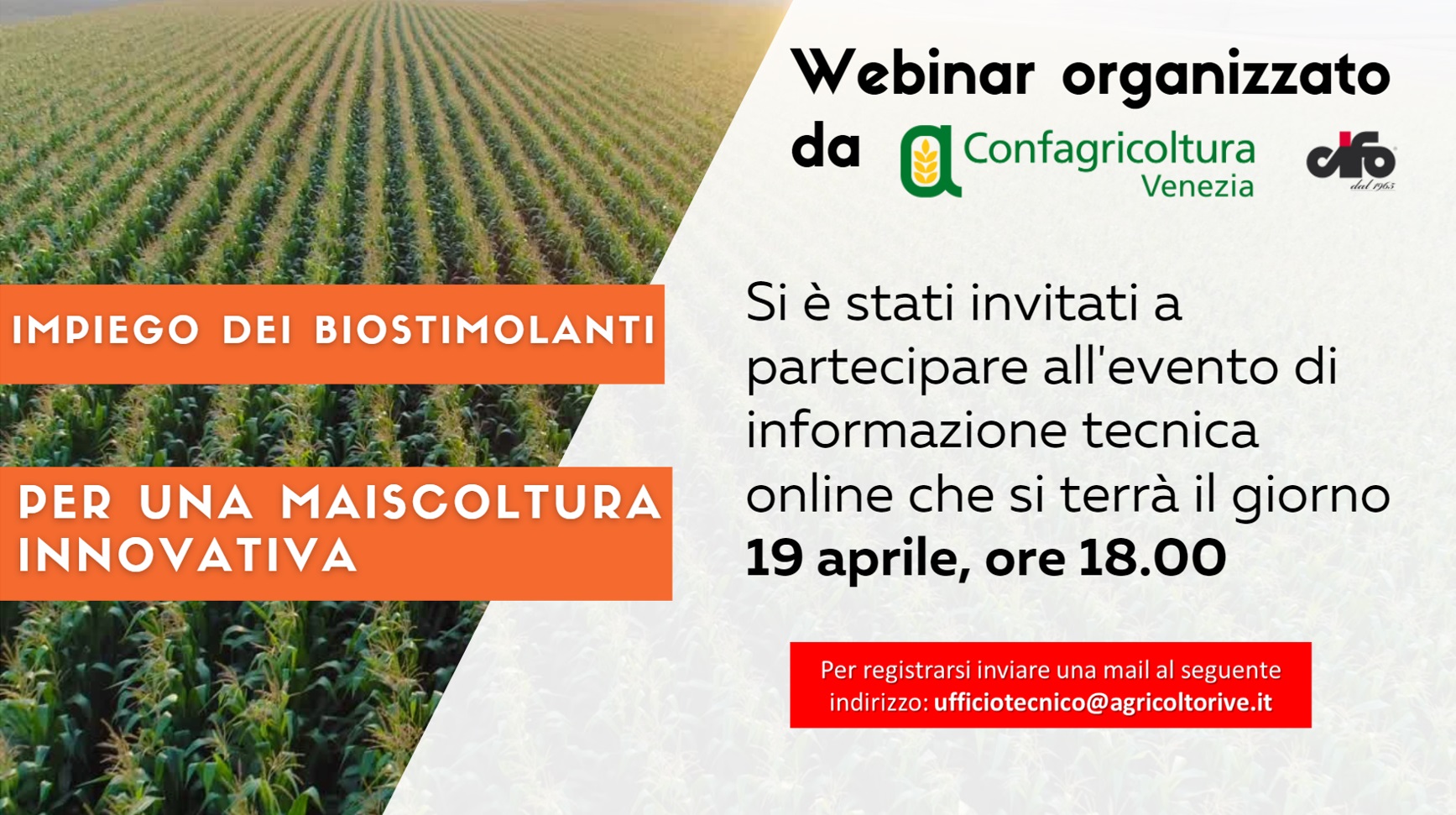 vino bottiglie photo 1516594915697 87eb3b1c14ea