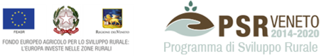PSR logo nuovo