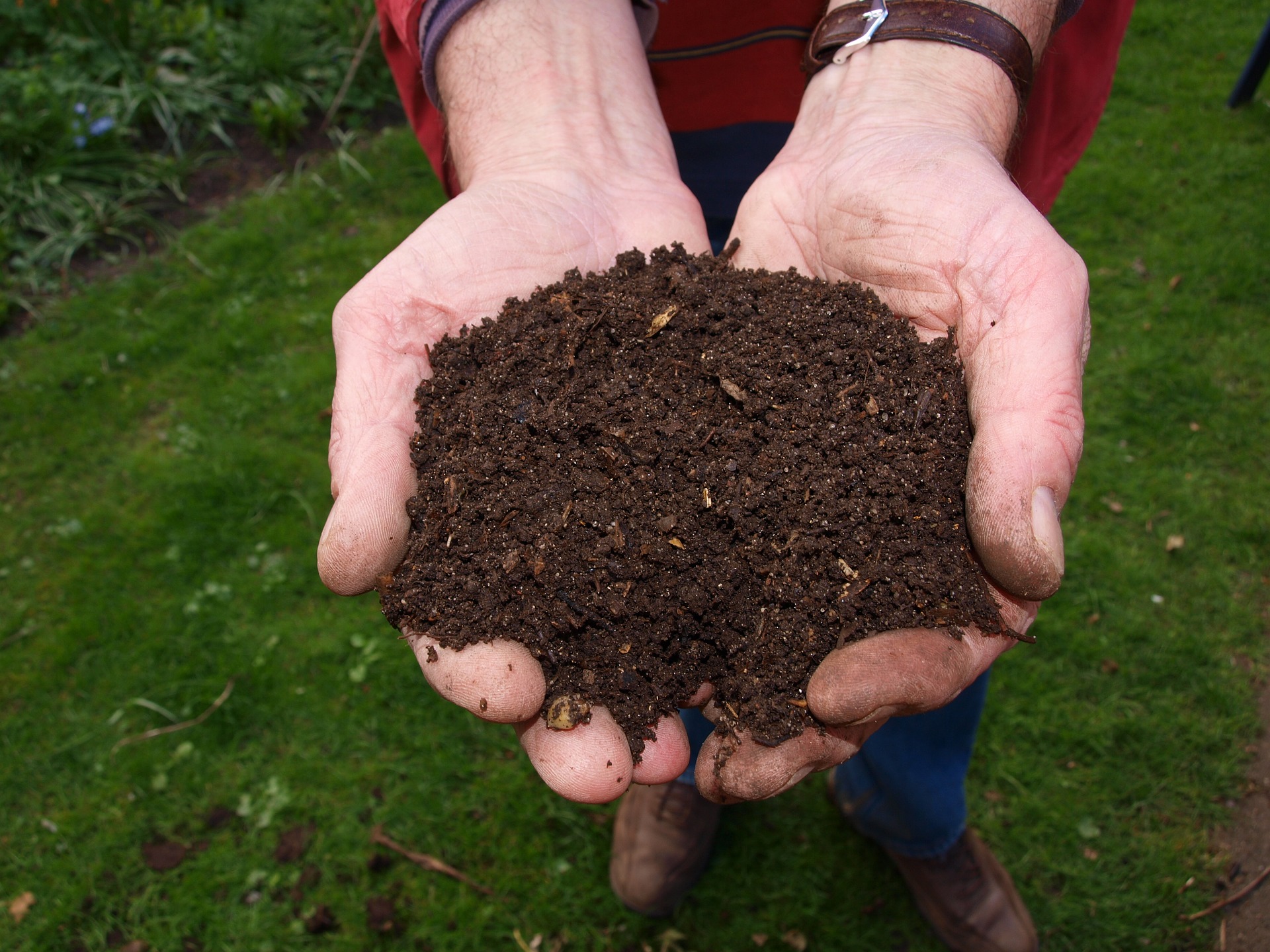 biogas 462508 1280