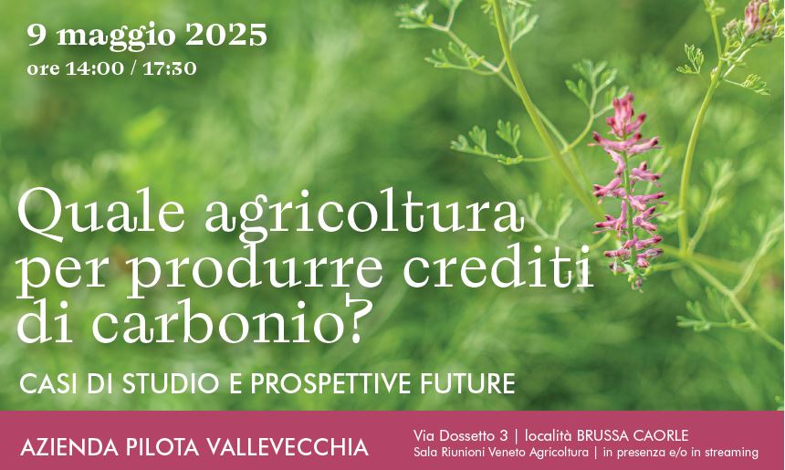 agriturismo ristorazione 3265702 1920