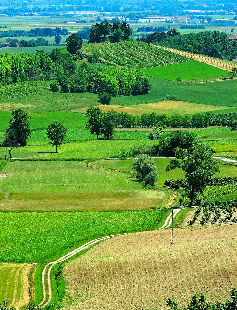Copertina greening fossato con alberi photo 1595573740999 3cd46ec2fa20