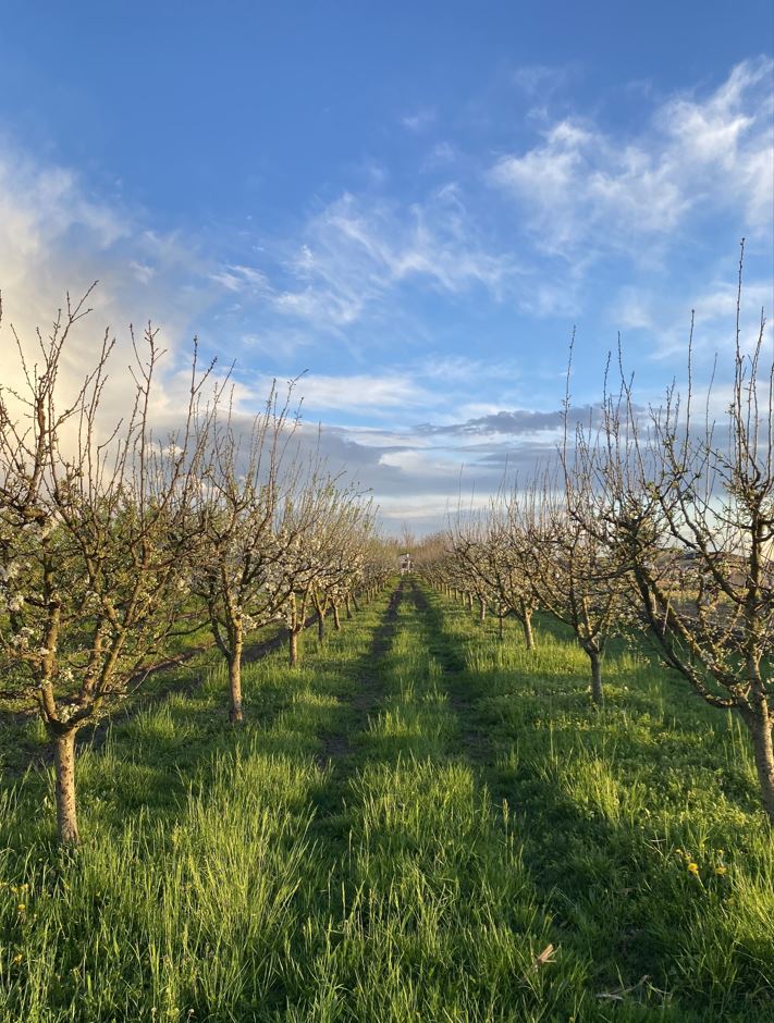 lavoro farmer 657333 1280
