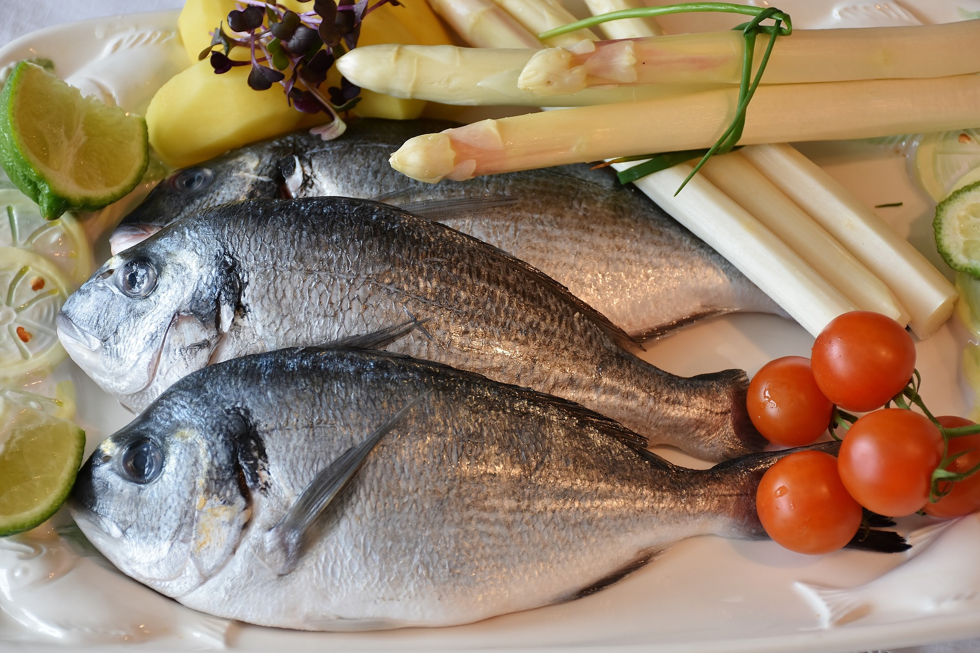 pesce fish 2230852 1920