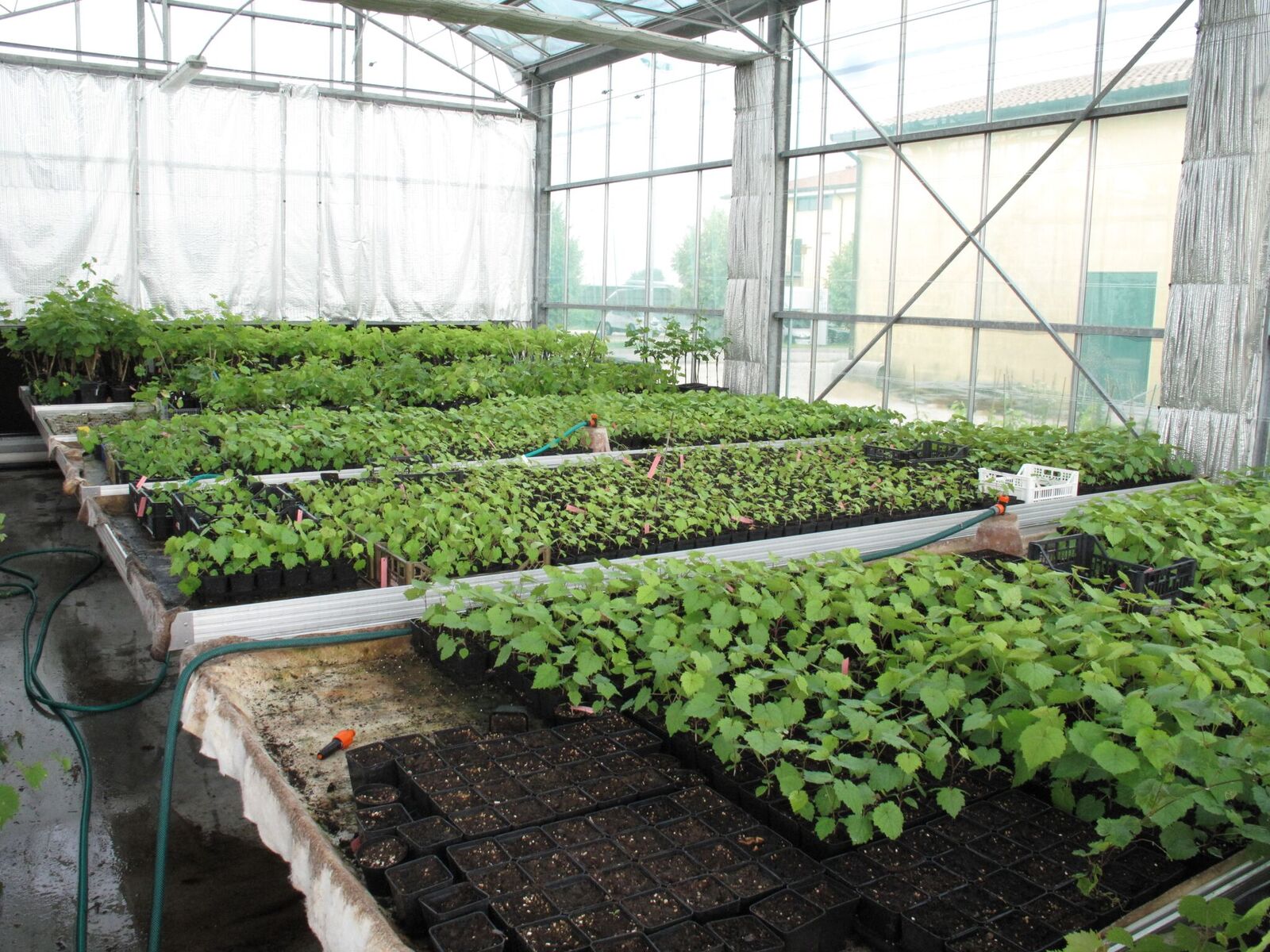 lavoro agriculture 91149 960 720