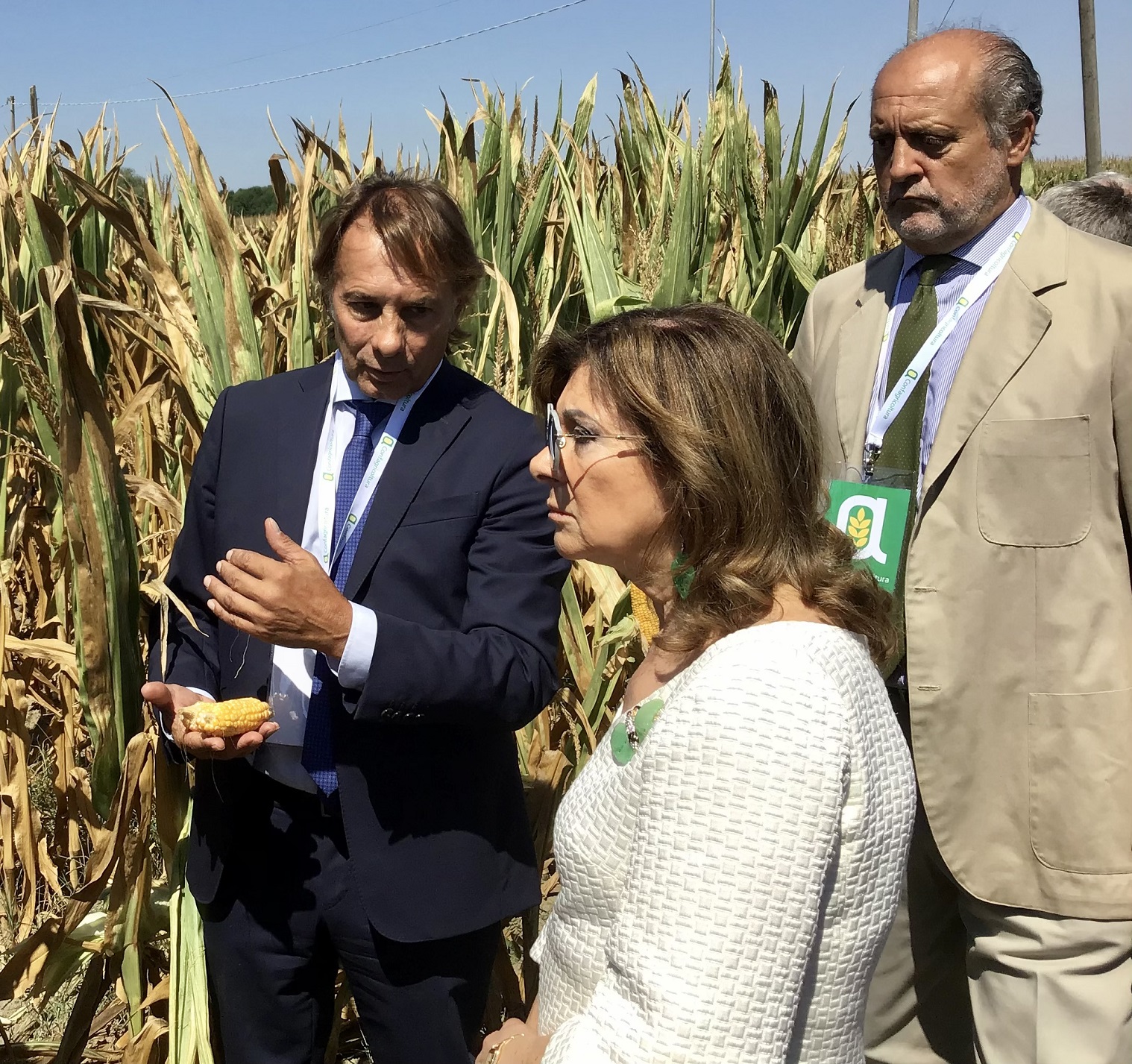 Casellati nel campo di mais con Ballani e Emo Capodilista