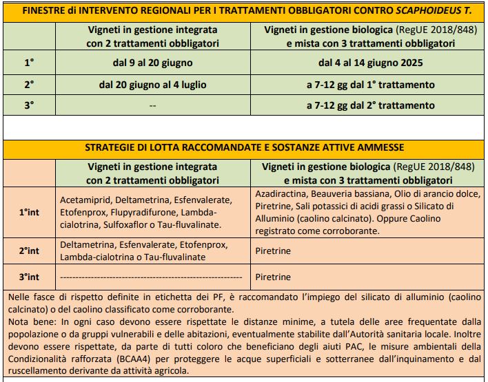 Bollettino fitosanitario 2 luglio 2025 - Oggi ultimo giorno della seconda finestra per il tarttamento obbligatorio flavescenza dorata