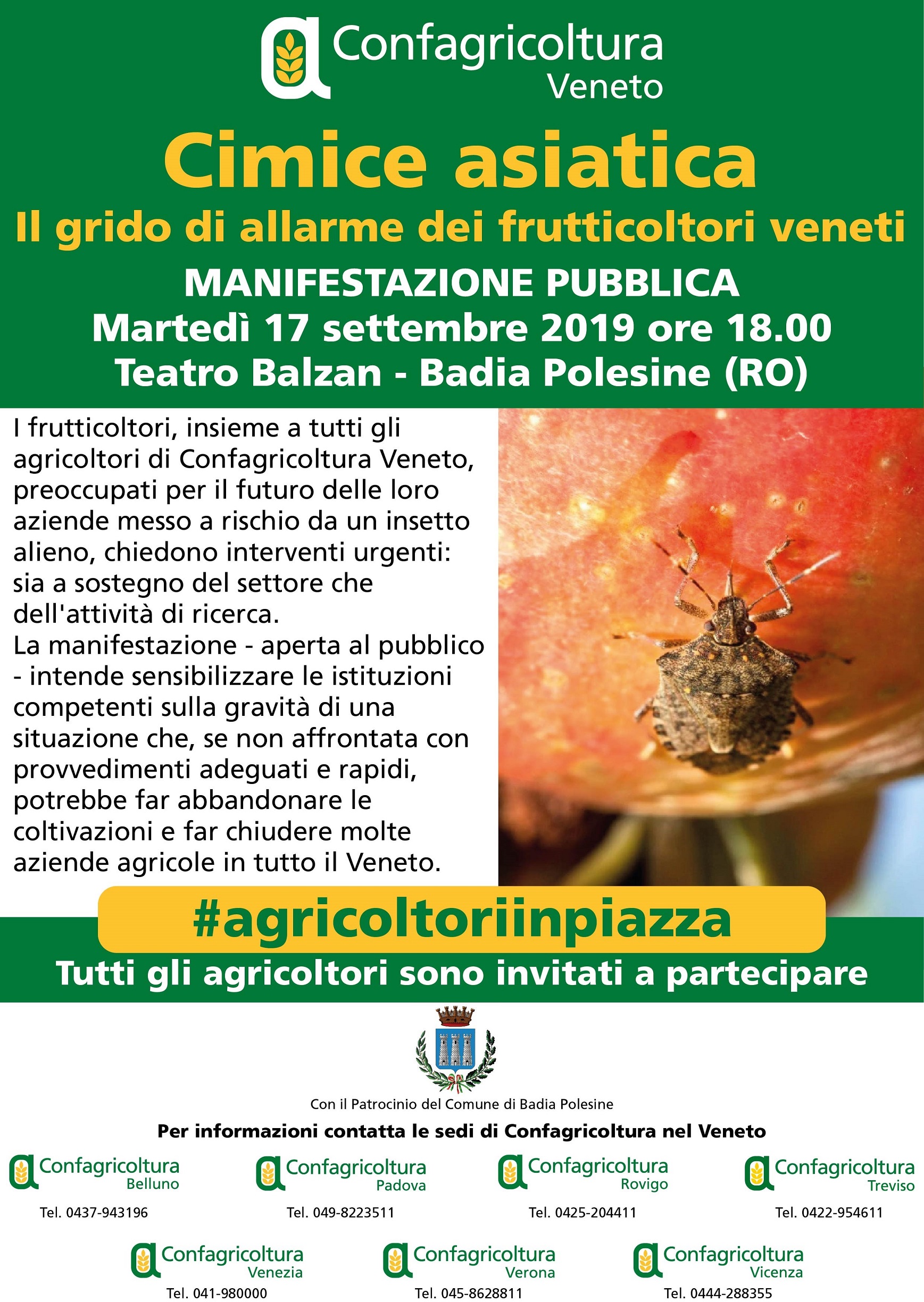 Cimice asiatica manifestazione Confagricoltura 2019
