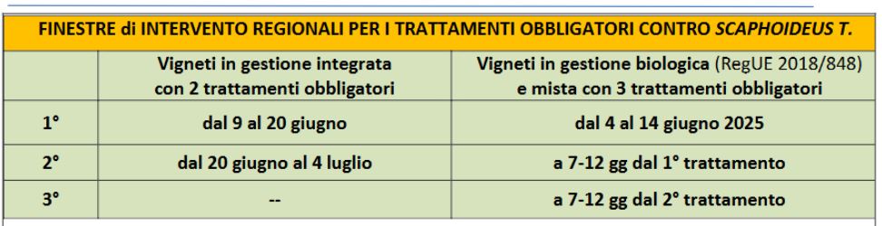 Definita la seconda finestra trattamento obbligatorio contro la Flavescenza dorata- Bollettino fitosanitario 11 giugno