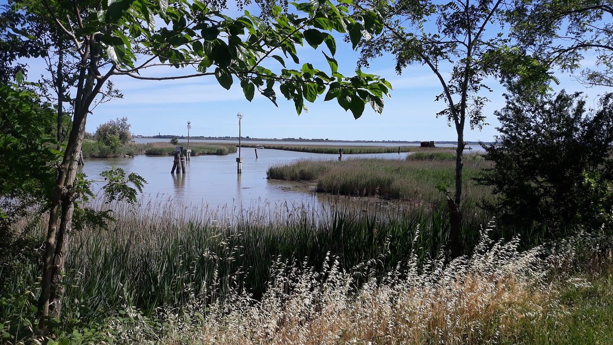 laguna barena su cui si affaccia agriturismo di valle paliaga