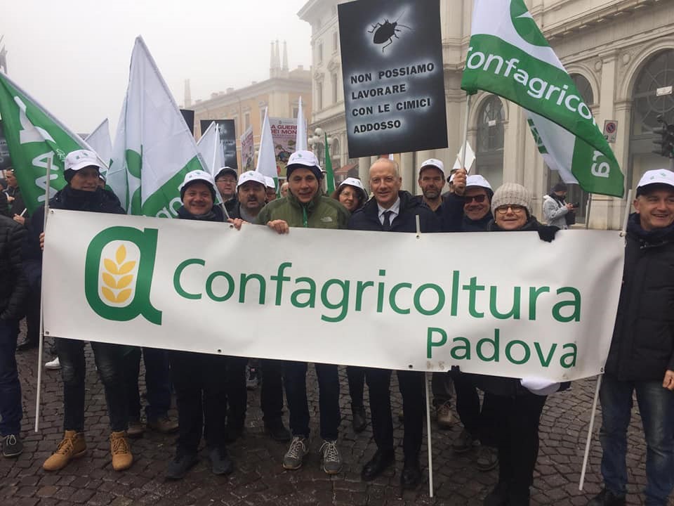 manifestazione Cimice Ferrara 2020
