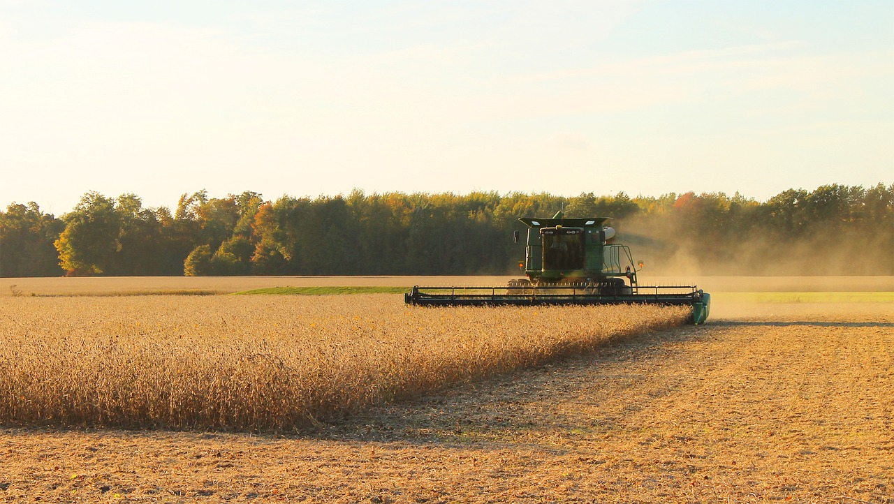 trebbiatura soia harvester 1764800 1280